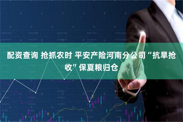 配资查询 抢抓农时 平安产险河南分公司“抗旱抢收”保夏粮归仓