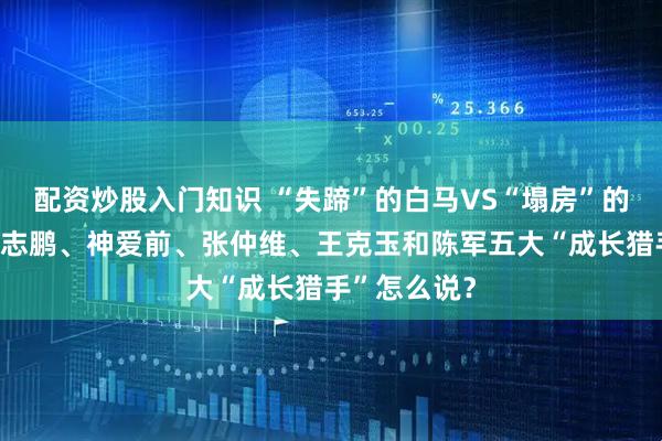 配资炒股入门知识 “失蹄”的白马VS“塌房”的赛道！看姚志鹏、神爱前、张仲维、王克玉和陈军五大“成长猎手”怎么说？